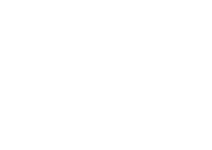 AAIS Logo